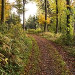 Rutas Naturales de Ourense, La Naturaleza de la Ciudad