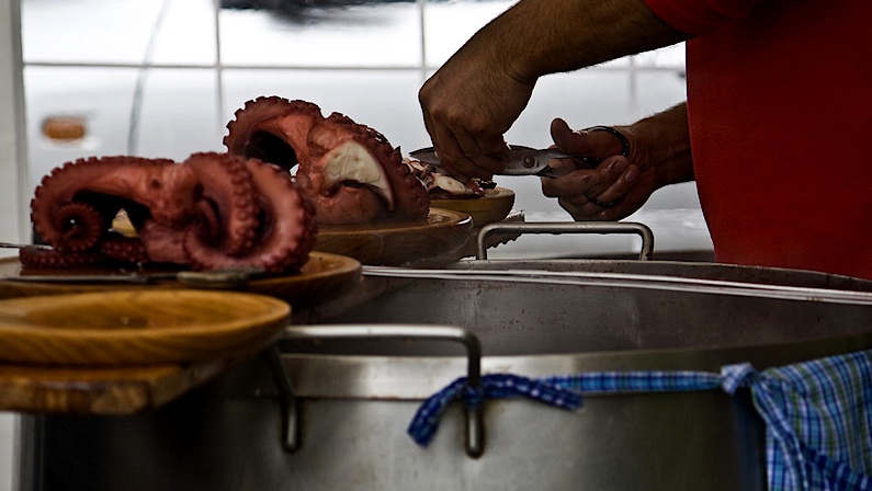 Ourense Pulpo Feira Compressed