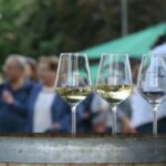 XV Feira do Viño de Monterrei | Verín