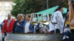 Xv Feira Do Viño De Monterrei Verín