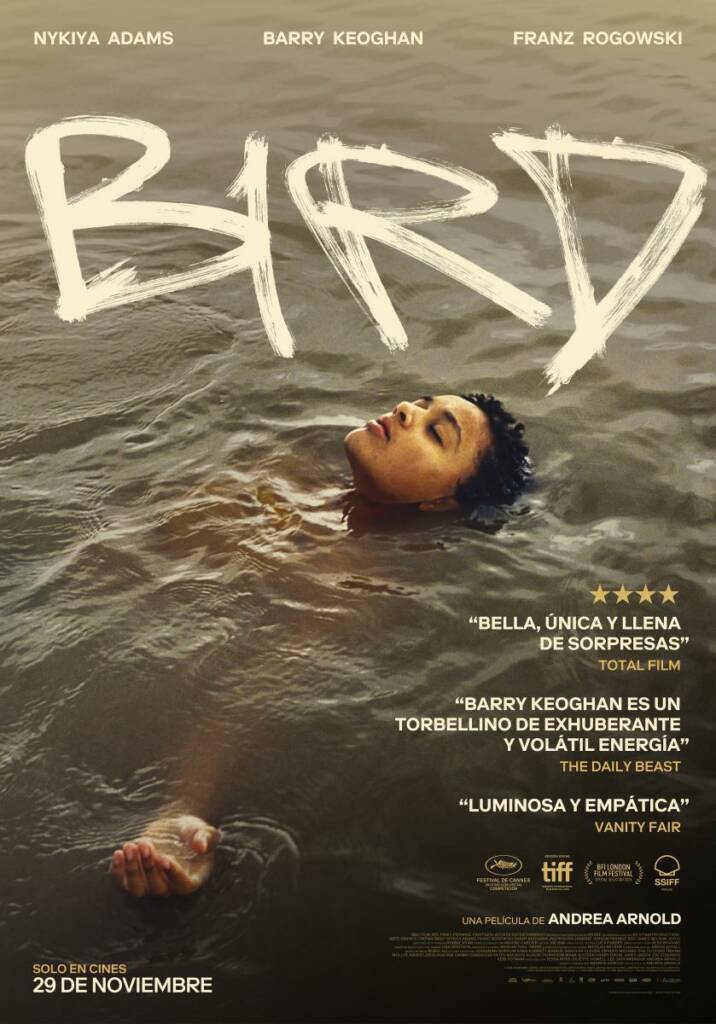 Cartel Bird Cine