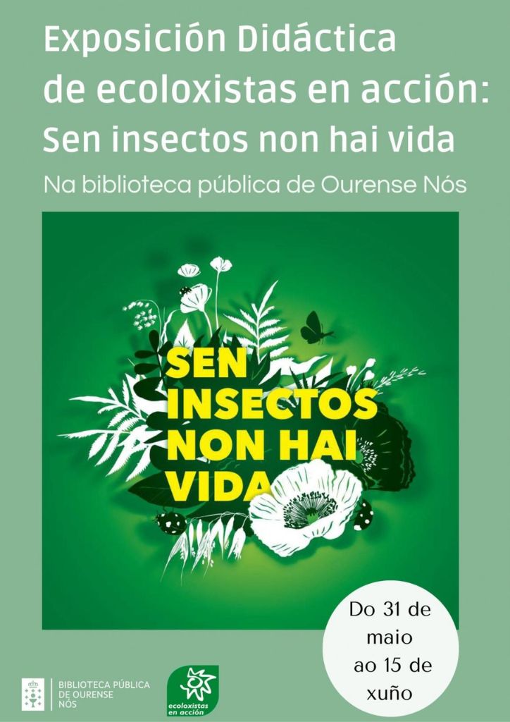 La Biblioteca Pública De Ourense Acoge La Exposición Itinerante 'un Mundo De Bichos. Os Insectos Moven O Planeta', 