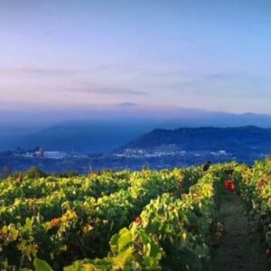 Os Tarabelos