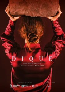 Dique Novagalegadedanza
