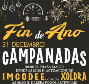Fiesta De Fin De Año (2)