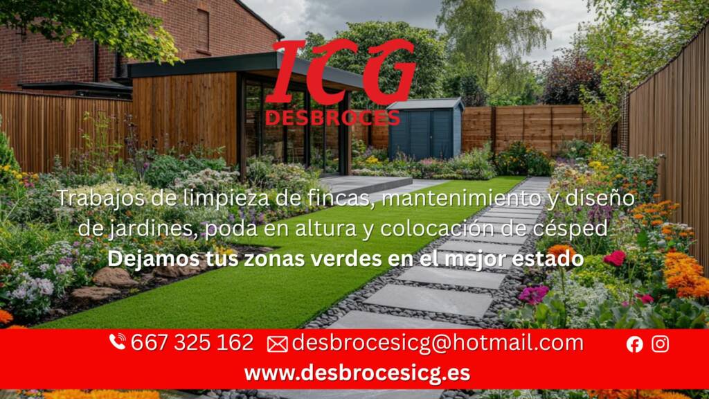 Anuncio Navidad 2025 (59)