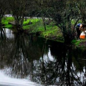 Campionato Escolar Provincial De Ourense De Orientación