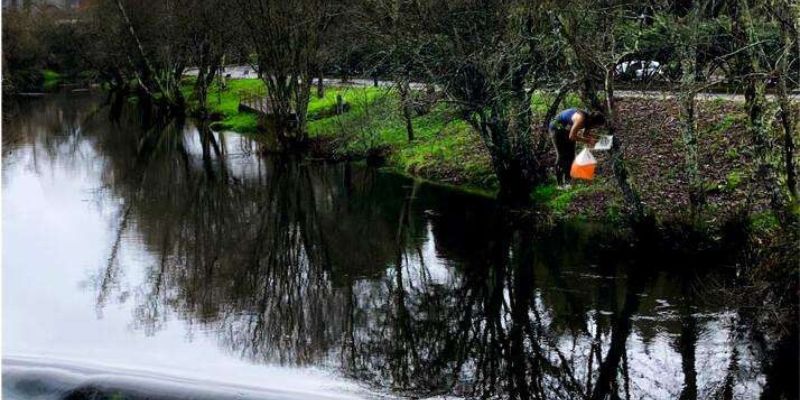 Campionato Escolar Provincial De Ourense De Orientación