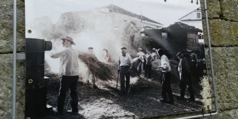 A Fornada (2)