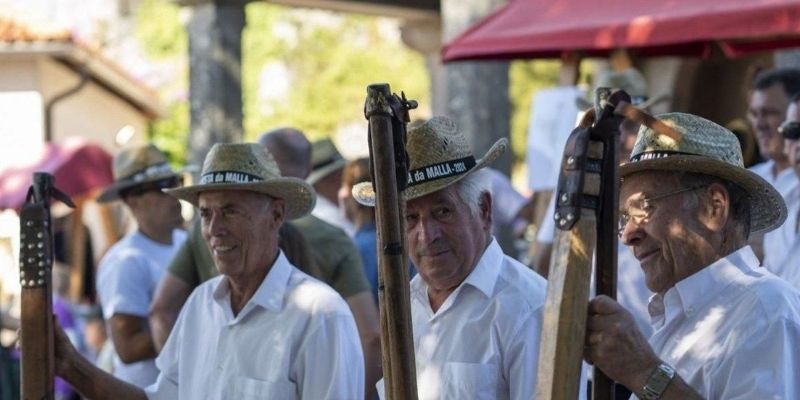 Festa Da Malla De Puxedo (2026) En Lobios