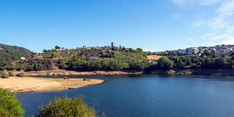 Patronais Da Nosa Señora Da Asunción E San Roque De Viana Do Bolo