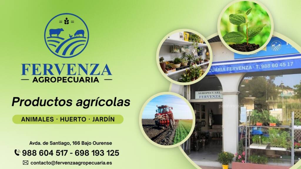 Fervenza Ourense H